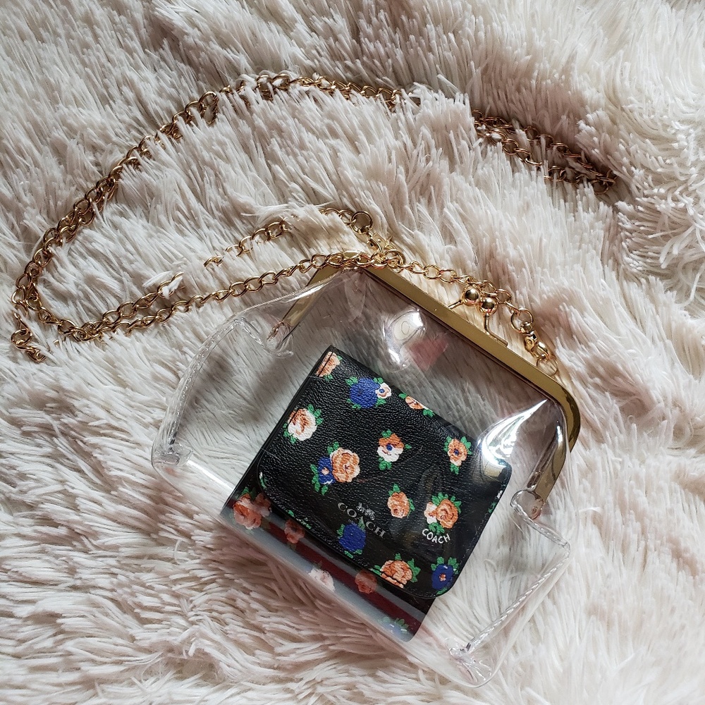 Clear Handbag
